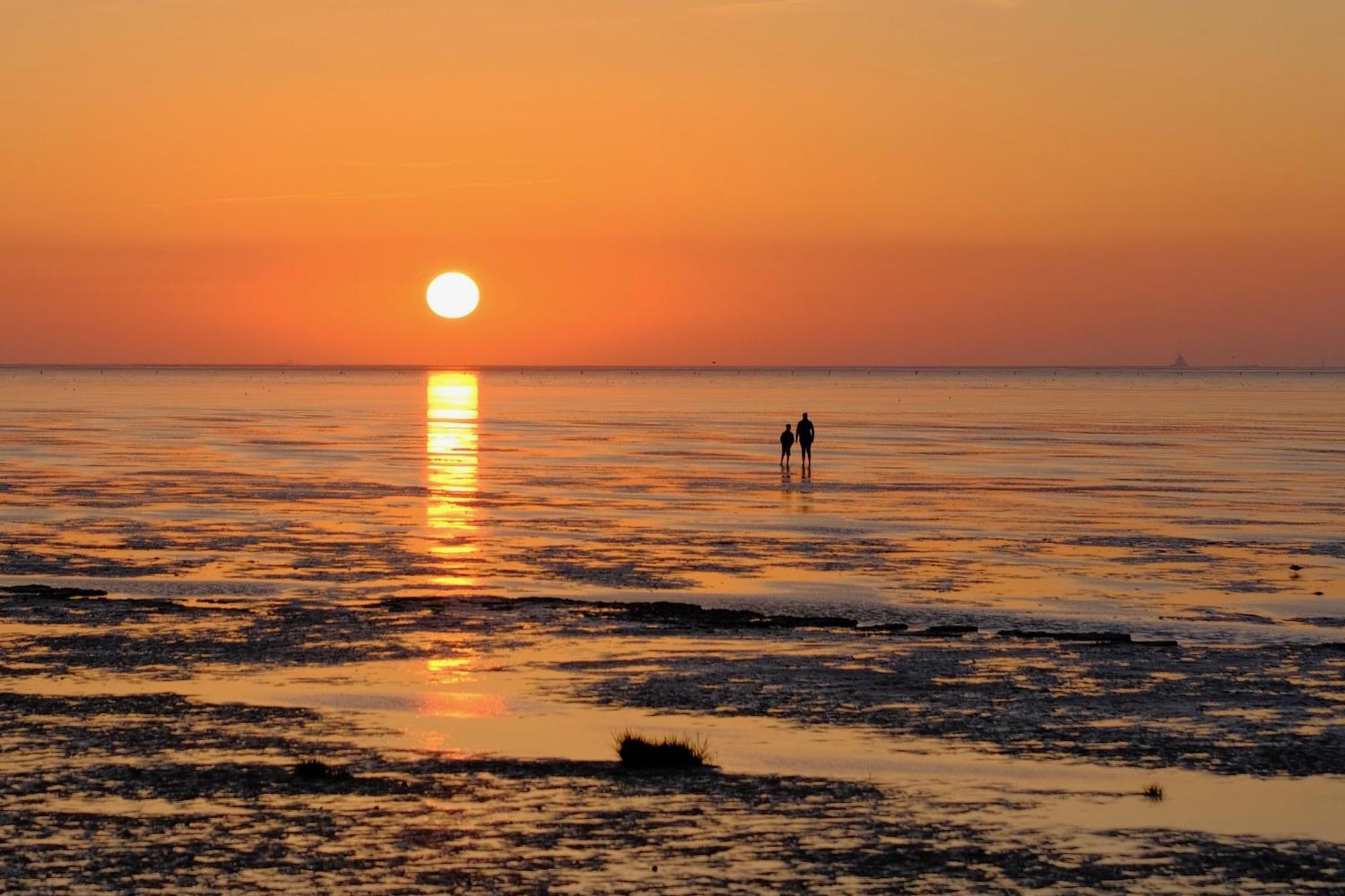 Ferienwohnung 348 Haus Deichgraf Cuxhaven Bagian luar foto